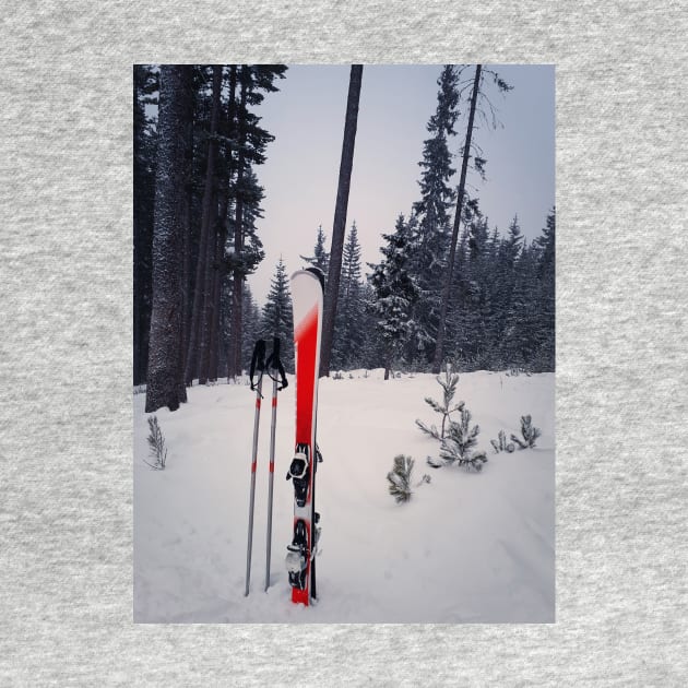 Pair of skis by psychoshadow